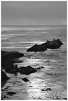 Rocks and sun reflections. Big Sur, California, USA (black and white)