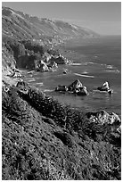 Costline from Partington Point, Julia Pfeiffer Burns State Park, late afternoon. Big Sur, California, USA (black and white)