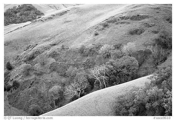 Rolling Hills in spring near San Luis Obispo. California, USA