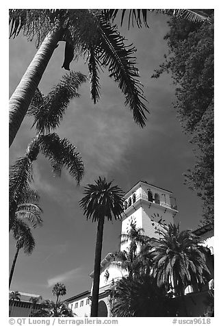 Palm trees and  courthouse. Santa Barbara, California, USA (black and white)
