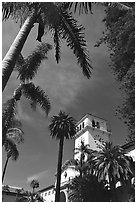 Palm trees and  courthouse. Santa Barbara, California, USA ( black and white)