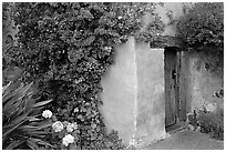 Flowers and wall of Mission. Carmel-by-the-Sea, California, USA (black and white)