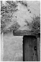 Flowers and wall, Carmel Mission. Carmel-by-the-Sea, California, USA (black and white)