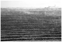 Mist and plowed field, San Joaquin Valley. California, USA (black and white)