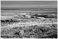 Central Valley farmlands. California, USA ( black and white)