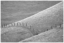 Fence on hill, Southern Sierra Foothills. California, USA (black and white)