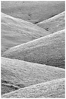 Ridges, Southern Sierra Foothills. California, USA (black and white)