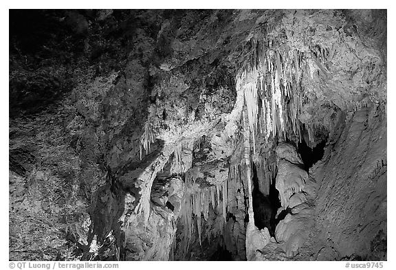 Delicate cave formations, Mitchell caverns. Mojave National Preserve, California, USA (black and white)