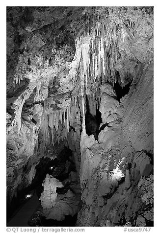 Delicate cave formations, Mitchell caverns. Mojave National Preserve, California, USA (black and white)