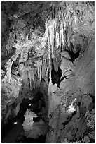 Delicate cave formations, Mitchell caverns. Mojave National Preserve, California, USA (black and white)