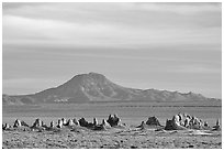 Trona Pinnacles and Mountains, late afternoon. California, USA ( black and white)