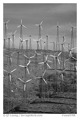 Windmill farm, Tehachapi Pass. California, USA (black and white)