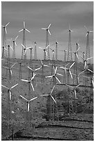 Windmill farm, Tehachapi Pass. California, USA (black and white)