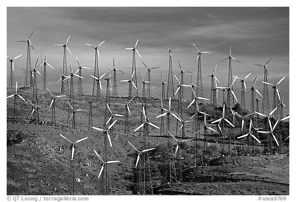 Windmill farm, Tehachapi Pass. California, USA