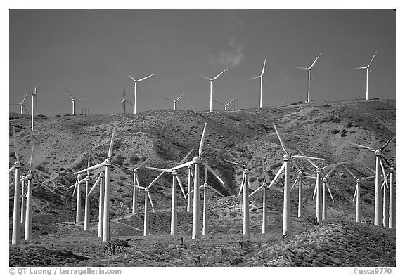 Electricity-generating Windmills, Horned Toad Hills near Mojave. California, USA