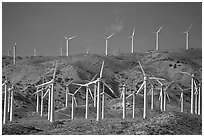 Electricity-generating Windmills, Horned Toad Hills near Mojave. California, USA ( black and white)