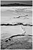 Salt flats,  Mojave desert. California, USA ( black and white)