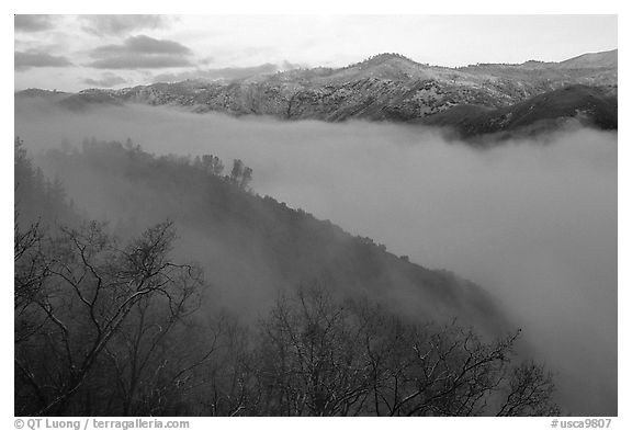 Fog and ridges, sunrise, Stanislaus  National Forest. California, USA (black and white)