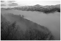 Fog and ridges, sunrise, Stanislaus  National Forest. California, USA ( black and white)