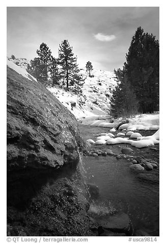 Buckeye Hot Springs. California, USA (black and white)