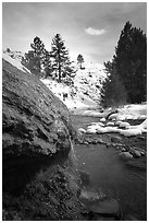 Buckeye Hot Springs in winter. California, USA (black and white)