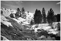 Buckeye Hot Springs in winter. California, USA (black and white)