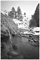 Water floweing over travertine, Buckeye Hot Springs in winter. California, USA (black and white)