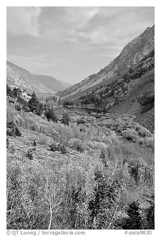 Lundy Canyon in the fall, Inyo National Forest. California, USA (black and white)