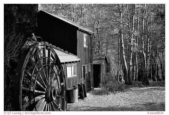 Mountain cabin in fall, Lundy Canyon, Inyo National Forest. California, USA (black and white)