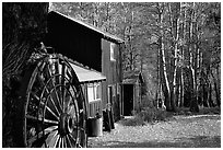 Mountain cabin in fall, Lundy Canyon, Inyo National Forest. California, USA (black and white)