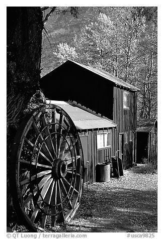 Rustic cabin in autumn, Lundy Canyon, Inyo National Forest. California, USA