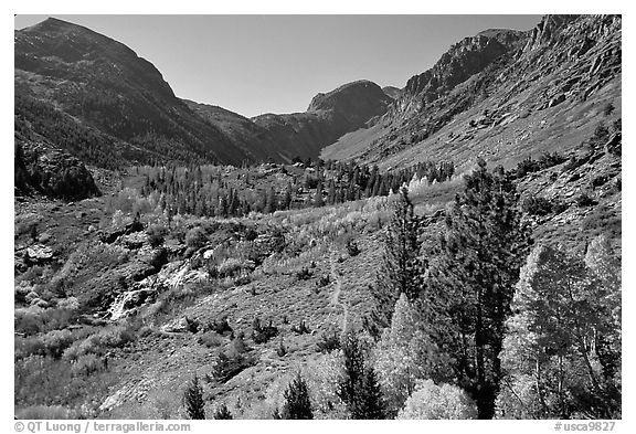 Valley in autumn, Lundy Canyon, Inyo National Forest. California, USA