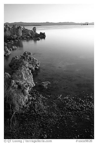 Tufas at sunrise. Mono Lake, California, USA (black and white)