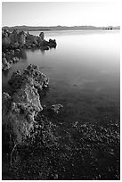 Tufas at sunrise. Mono Lake, California, USA ( black and white)