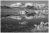 Tufas and Sierra, winter sunrise. Mono Lake, California, USA ( black and white)