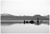 Isolated Tufa towers. Mono Lake, California, USA (black and white)