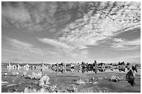 Clouds and Tufa towers, morning. Mono Lake, California, USA (black and white)