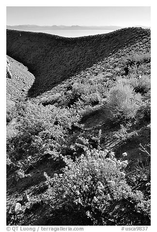 Mono crater. Mono Lake, California, USA (black and white)