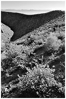 Mono crater. Mono Lake, California, USA (black and white)