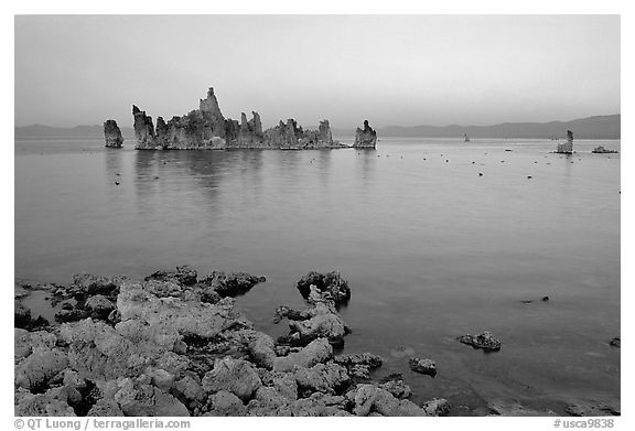 Tufa towers at dusk. Mono Lake, California, USA (black and white)