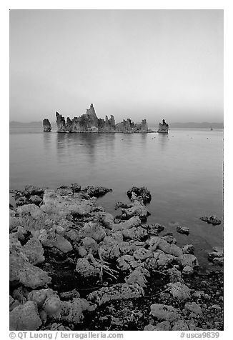 Tufa towers at dusk, South Tufa area. Mono Lake, California, USA (black and white)