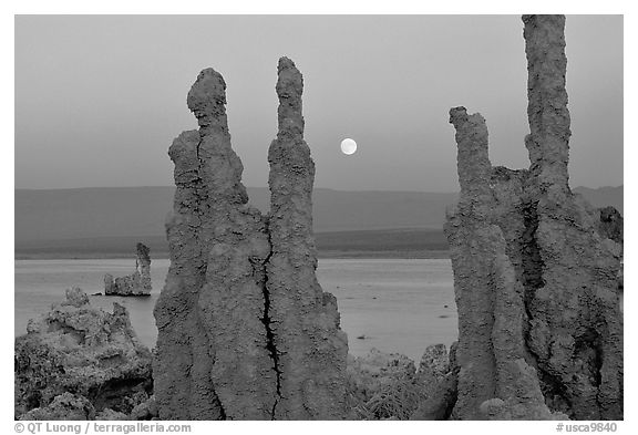 Tufa towers and moonrise, dusk. Mono Lake, California, USA (black and white)