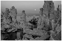 Tufa towers and moon, dusk. Mono Lake, California, USA (black and white)