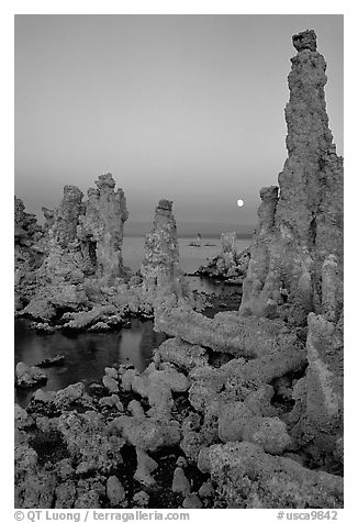 Tufa towers and moon, dusk. Mono Lake, California, USA (black and white)