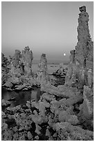 Tufa towers and moon, dusk. Mono Lake, California, USA ( black and white)
