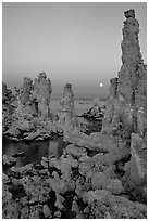 Tufa towers and moon, dusk. Mono Lake, California, USA (black and white)