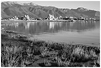 Grasses, tufa, and mountains, early morning. Mono Lake, California, USA ( black and white)