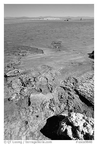 Colorful shores, mid-day. Mono Lake, California, USA (black and white)