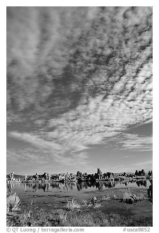 Clouds and Tufa towers, morning. Mono Lake, California, USA (black and white)