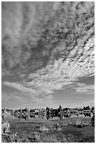 Clouds and Tufa towers, morning. Mono Lake, California, USA (black and white)